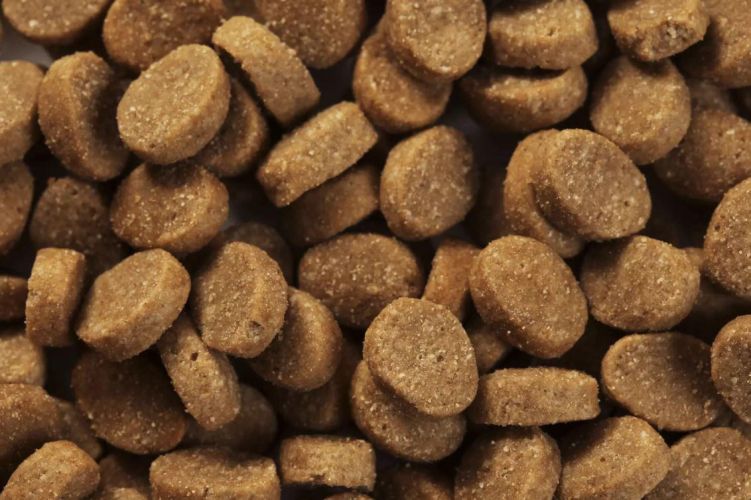 Specific CID Digestive Support száraztáp  2 kg