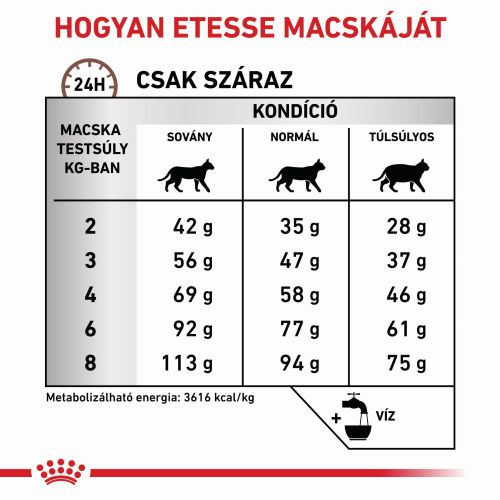 Royal Canin Feline Gastrointestinal Hairball  2 kg