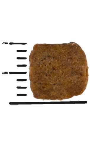 Green Petfood VeggieDog Grainfree szárazeledel  10 kg