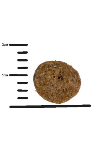 Green Petfood VeggieDog Origin szárazeledel  10 kg