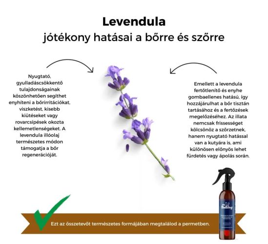 MY BULLDOG SZŐRÁPOLÓ LEVENDULA  200 ml