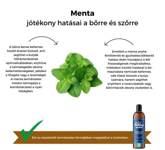 MY BULLDOG HŰSÍTŐ ZSELÉ MENTA-ALOE  200 ml