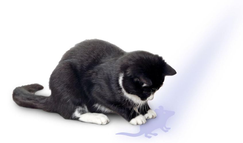 Flamingo macskajáték - egeres lézer  1 db