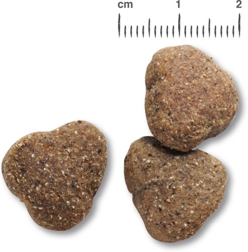 Belcando Adult Grain-Free Poultry - gabonamentes száraztáp baromfihússal  4 kg