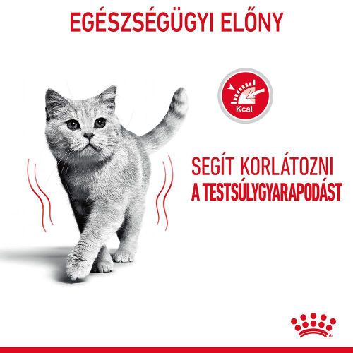 Royal Canin Light Weight Care - száraz táp felnőtt macskák részére az ideális testsúly eléréséért  8 kg