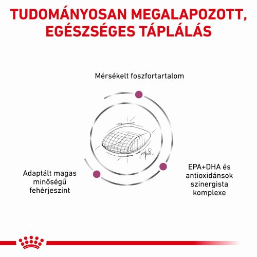 Royal Canin Early Renal  2 kg