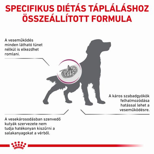 Royal Canin Early Renal  2 kg