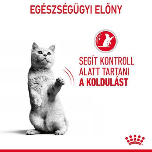 Royal Canin Appetite Control Care - étvágyat kontrolláló felnőtt macska száraz táp  400 g
