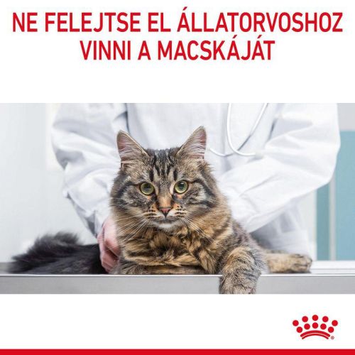 Royal Canin Appetite Control Care - étvágyat kontrolláló felnőtt macska száraz táp  400 g