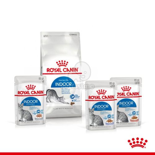 Royal Canin Indoor Sterilised Gravy - lakásban tartott felnőtt macska szószos nedves táp 12 x  85 g