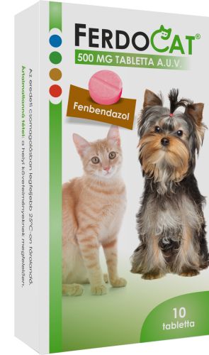 Ferdocat 500 mg tabletta  10 db