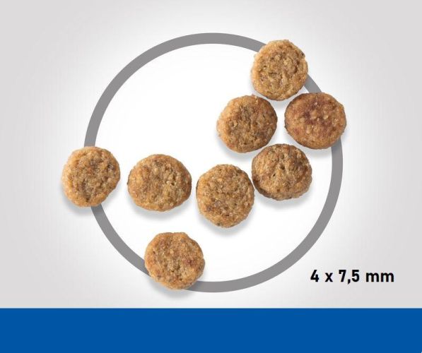 Hill's Science Plan Adult Small & Mini száraz kutyatáp, bárány és rizs  300 g