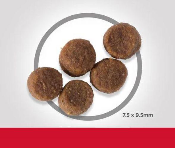 Hill's Science Plan Puppy Medium száraz kutyatáp  2.5 kg