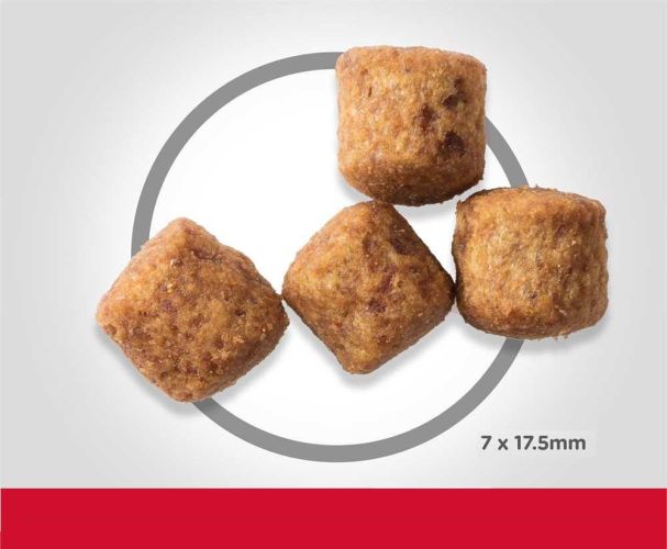 Hill's Science Plan Mature Adult 6+ Large Breed száraz kutyatáp  18 kg