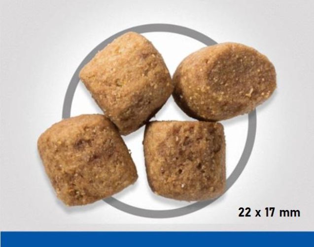 Hill's Science Plan Adult Oral Care száraz kutyatáp  2 kg