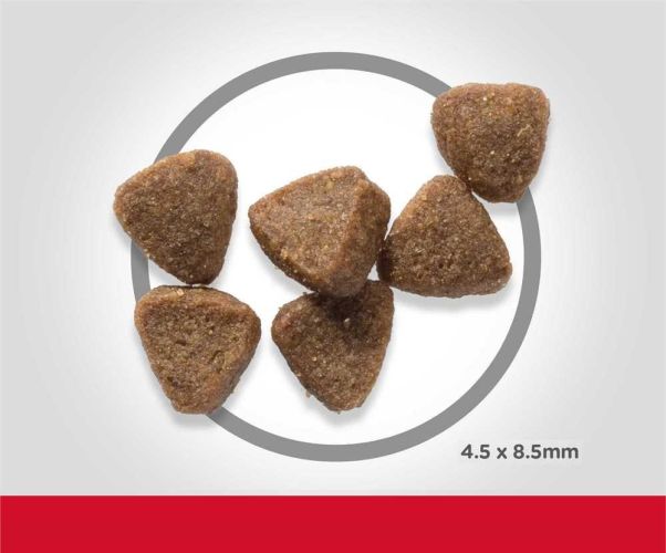 Hill's Science Plan Kitten száraz macskatáp, tonhal  7 kg