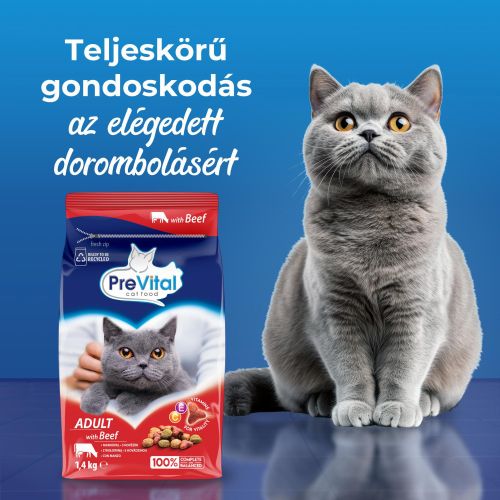 PreVital Adult Beef - szárazeledel marhával felnőtt macskák számára  1.4 kg