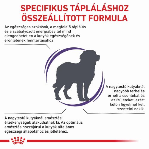 Royal Canin Large Adult Dog  13 kg