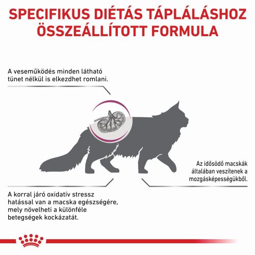 Royal Canin Feline Early Renal  400 g