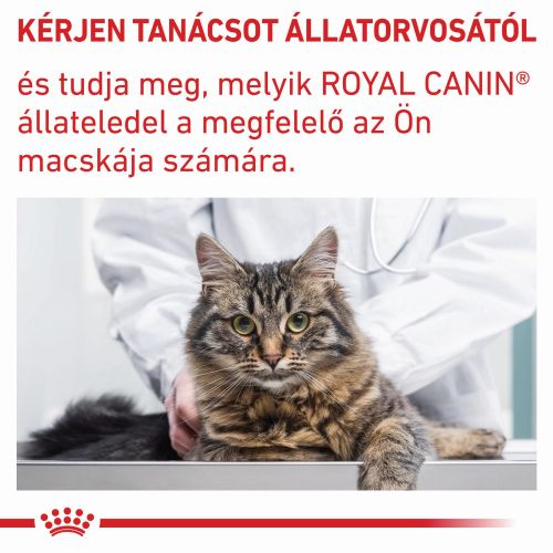 Royal Canin Feline Mature Consult - Alutasakos 12 x  85 g