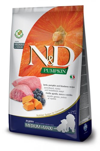 N&D Pumpkin Dog Puppy Medium & Maxi Lamb & Blueberry  12 kg