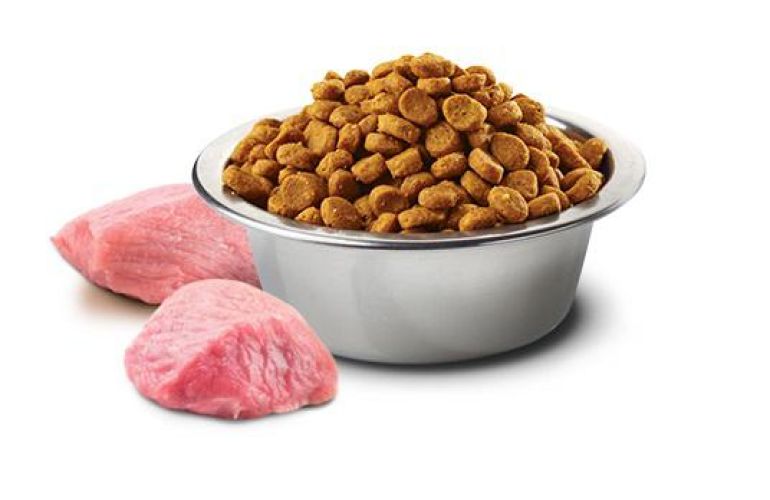 N&D Prime Cat Adult Lamb & Blueberry  10 kg