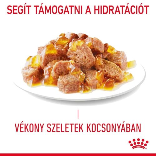 Royal Canin Appetite Control Care - étvágyat kontrolláló zselés nedves táp felnőtt macskák részére 12 x  85 g
