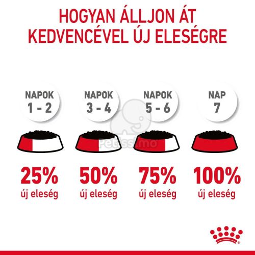 Royal Canin Appetite Control Care - étvágyat kontrolláló zselés nedves táp felnőtt macskák részére 12 x  85 g