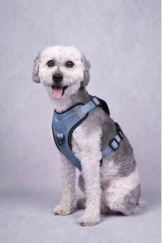 Flamingo Heron hám - kék  34-49 cm/46-61 cm