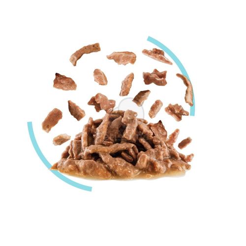 Royal Canin Sensory Feel - szószos nedves táp felnőtt macskák részére 12 x  85 g