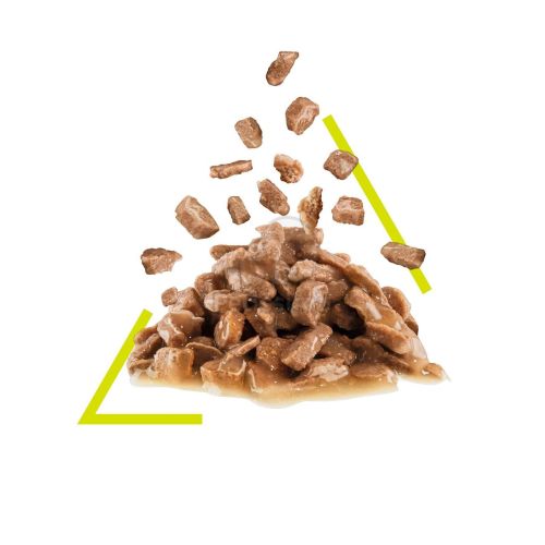 Royal Canin Sensory Smell - szószos nedves táp felnőtt macskák részére 12 x  85 g