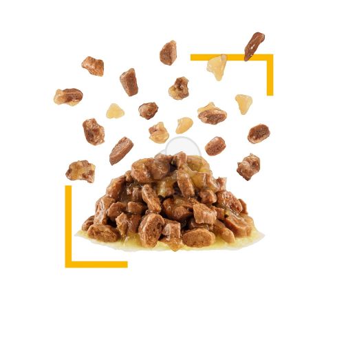 Royal Canin Sensory Taste - zselés nedves táp felnőtt macskák részére 12 x  85 g