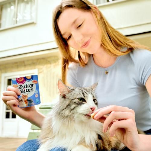 Inaba  Cat Juicy Bites - garnélarák és tenger gyümölcsei 3 x  11.3 g