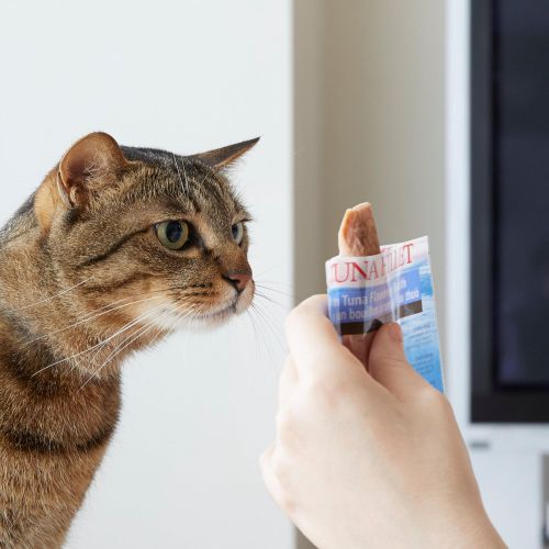 Inaba Cat Grilled Tuna Fillet - rák ízesítésű levesbe mártva  15 g