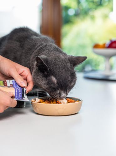 Inaba  Cat Grilled Chicken Fillet - rákos lében, extra lágy  25 g