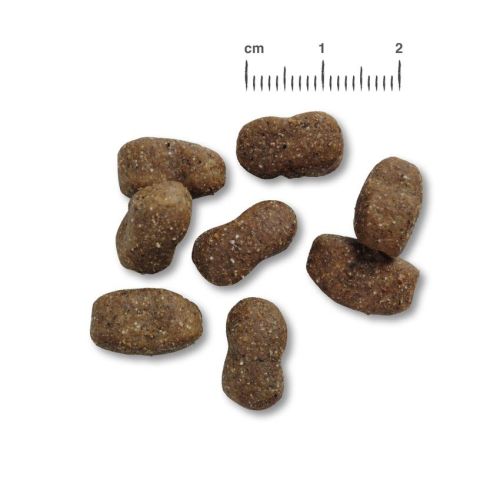 Belcando Adult Grain-Free Horse - gabonamentes száraztáp lóhússal  12.5 kg