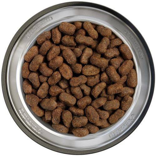 Belcando Adult Grain-Free Horse - gabonamentes száraztáp lóhússal  12.5 kg