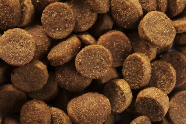 Specific COD Skin Function Support száraztáp  4 kg