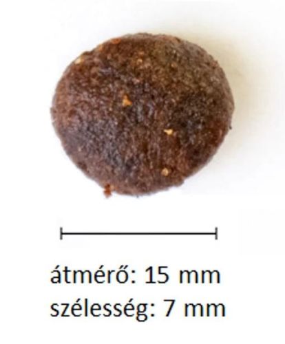 Alleva Natural Adult Medium/Maxi Dog - hal és sütőtök  12 kg