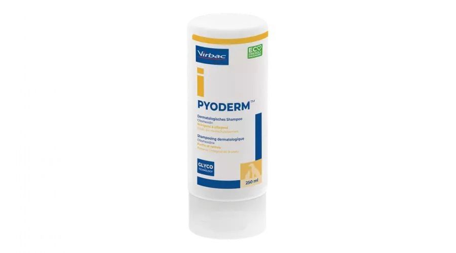 Virbac Pyoderm sampon  250 ml