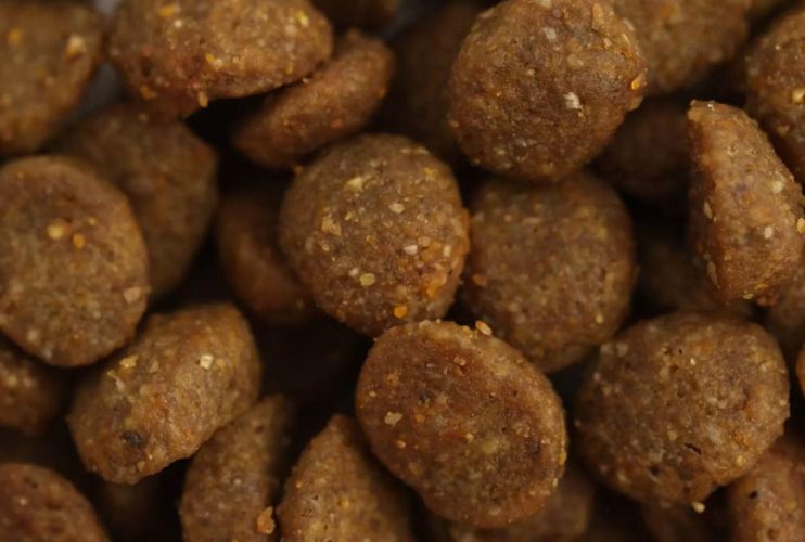 Specific FID Digestive Support száraztáp  400 g