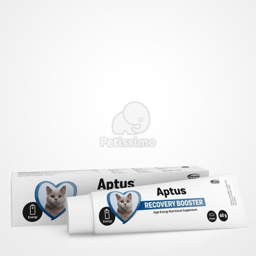 APTUS RECOBOOSTER CAT PASZTA  60 g