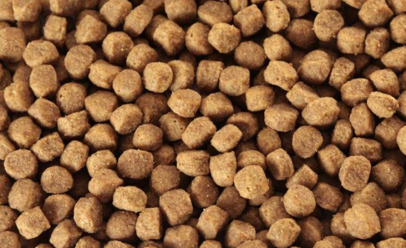 Specific CXD-S Adult Small Breed száraztáp  1 kg