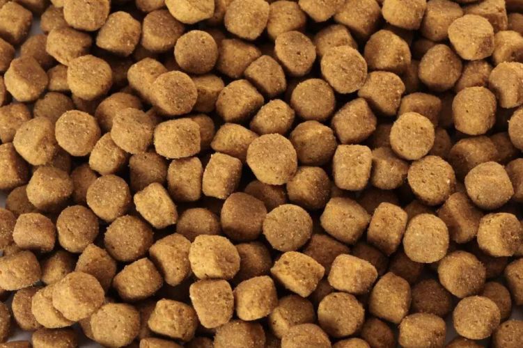 Specific CXD-XL Adult Large & Giant Breed száraztáp  12 kg