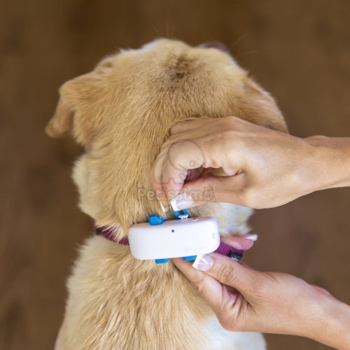 Tractive GPS DOG 4 – Kutyanyomkövető és aktivitáskövető  Sötétkék 
