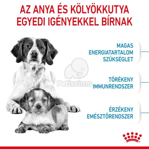 Royal Canin Medium Starter Mother & Babydog - közepes testű kölyök vemhes kutya száraz táp  15 kg