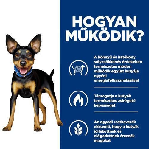 Hill's Prescription Diet™ Metabolic Weight Solution száraz kutyatáp  1 kg