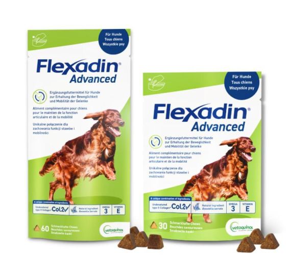 FLEXADIN ADVANCED DOG  30 db