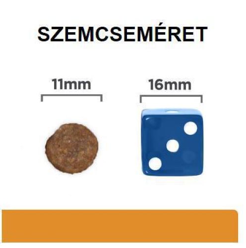 Hill's Prescription Diet k/d + Mobility száraz kutyatáp  4 kg
