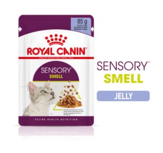 Royal Canin Sensory Smell - zselés nedves táp felnőtt macskák részére 12 x  85 g